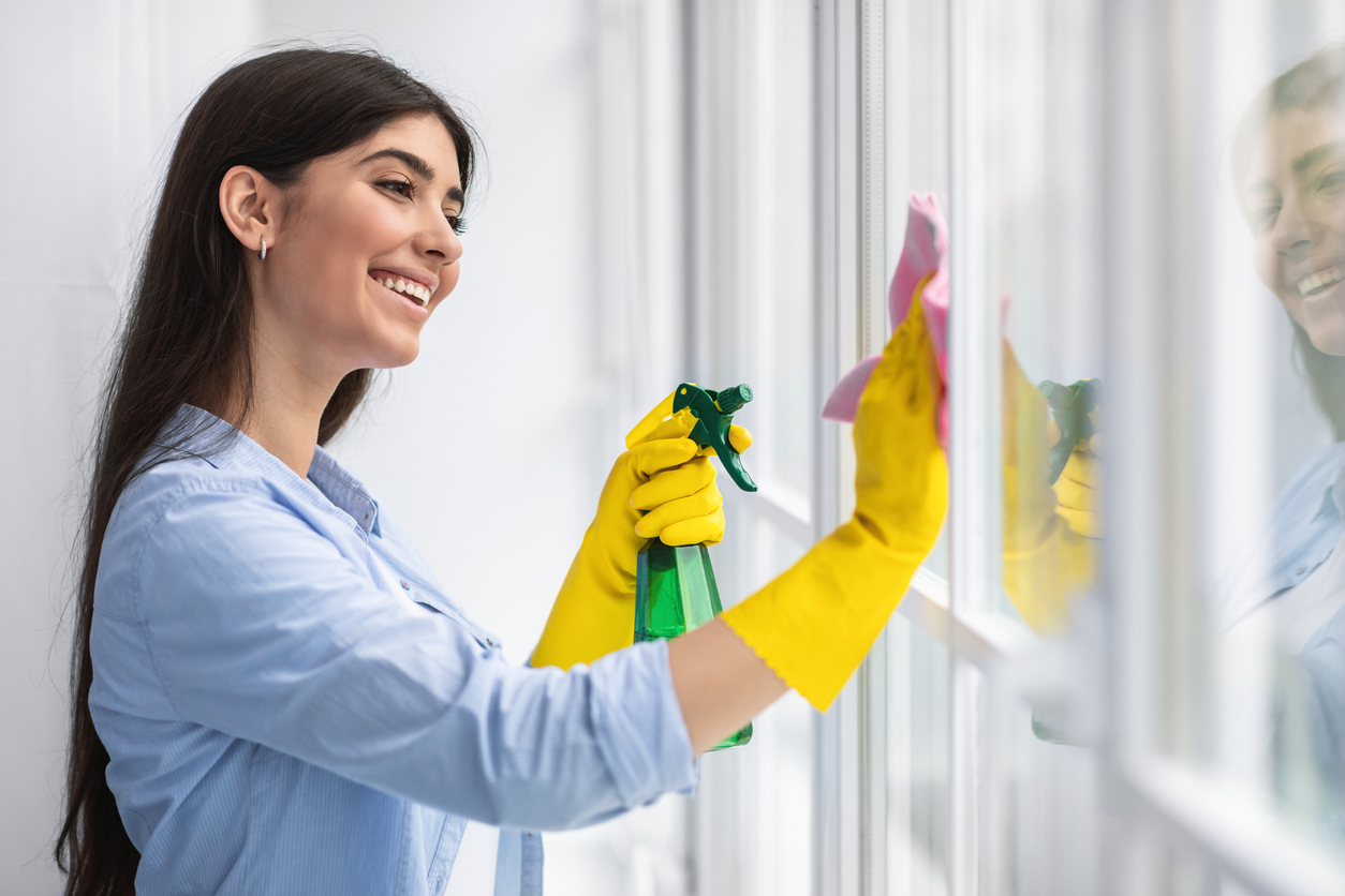 professional home cleaning services
